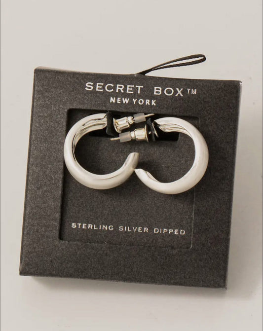 Matte brushed earrings